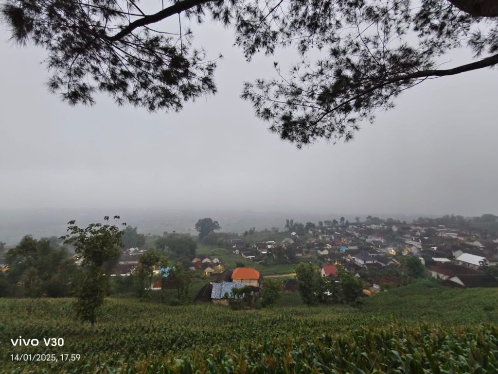 Menikmati Suasana Kabut Dan Kopi Di Puncak Rengit