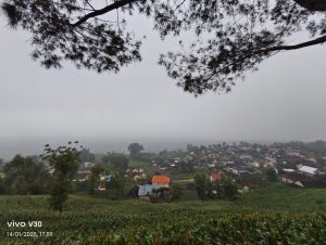 Menikmati Suasana Kabut Dan Kopi Di Puncak Rengit