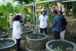 inovasi-buis-beton-lele-harapan-baru-bagi-ketahanan-pangan-warga-bojonegoro
