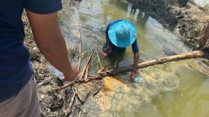 pmii-bojonegoro-soroti-dugaan-pencemaran-lingkungan-di-desa-ngampel