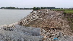 pemkab-bojonegoro-dinilai-lamban-tangani-ambrolnya-bangunan-penahan-tebing-bengawan-solo