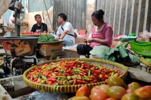 petani-malas-panen-harga-cabai-di-bojonegoro-meroket