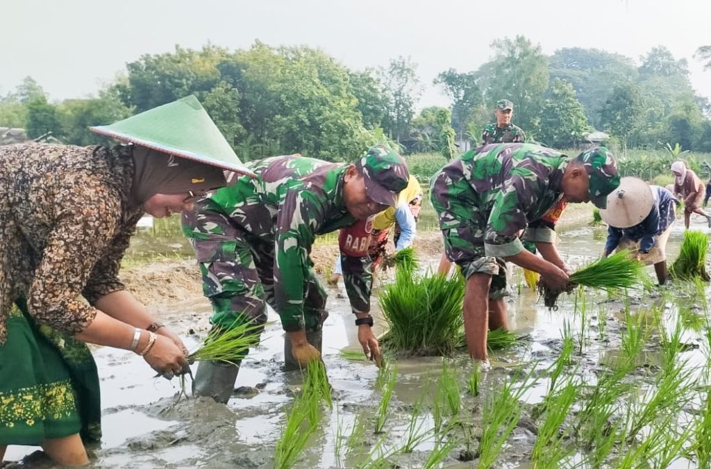 babinsa-koramil-bubulan-ajak-petani-wujudkan-ketahanan-pangan-lewat-tanam-padi