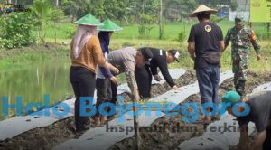 tni-polri-bersama-pemdes-pungpungan-kolaborasi-tanami-lahan-kosong-untuk-ketahanan-pangan-berkelanjutan
