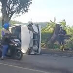 Diduga Pengemudi Mengantuk, Avanza Terguling dan Tabrak Motor di Kapas, Dua Orang Luka-luka
