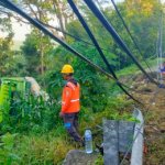 Melintas di Tanjakkan Yang Berbelok, Truck Ini Terguling di Jalan Margomulyo Bojonegoro