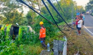 Melintas di Tanjakkan Yang Berbelok, Truck Ini Terguling di Jalan Margomulyo Bojonegoro