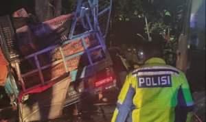 IMG_20260324_092123 Diduga Lepas Kendali Sebuah Truck Alami Kecelakaan di Jalur Bojonegoro-Nganjuk