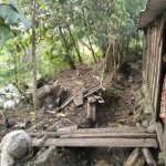 Kali Grogolan Menggerus Tanah Warga