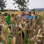 Sinergi Polri dan Petani