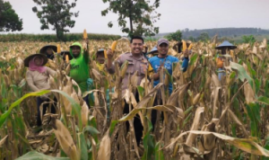 Sinergi Polri dan Petani