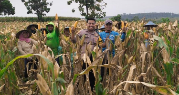 Sinergi Polri dan Petani