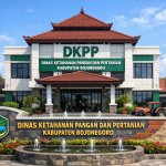 Program Bibit Rp5 Miliar: Data 2025 Tertutup, Transparansi DKPP Dipertanyakan