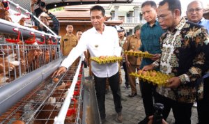 Kuatkan Ekonomi Peternak Lokal, Bupati Bojonegoro Terbitkan SW Pembelian Telur Program Gayatri