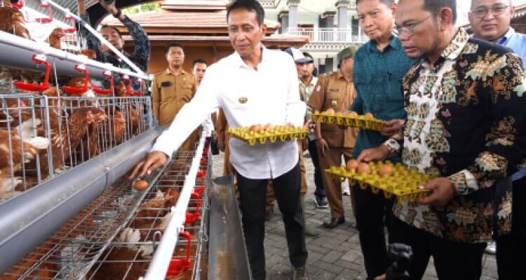 Kuatkan Ekonomi Peternak Lokal, Bupati Bojonegoro Terbitkan SW Pembelian Telur Program Gayatri