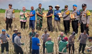 IMG_20260607_094520 Polres Bojonegoro Tanam Benih Jagung Bhayangkara demi Ketahanan Pangan