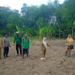 Polsek Balen Gandeng Petani Jagung, Dorong Hasil Panen Lebih Optimal