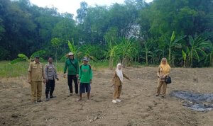 Polsek Balen Gandeng Petani Jagung, Dorong Hasil Panen Lebih Optimal