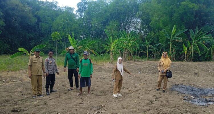 Polsek Balen Gandeng Petani Jagung, Dorong Hasil Panen Lebih Optimal