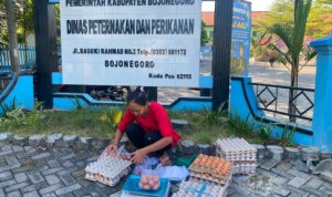 WA_20260704_075026 Genjot Pendapatan Peternak, Disnakkan Bojonegoro Gelar Pasar Telur GAYATRI