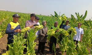 Medhayoh Bupati Bojonegoro di Desa Cengkir