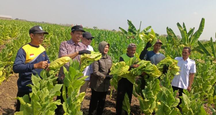 Medhayoh Bupati Bojonegoro di Desa Cengkir